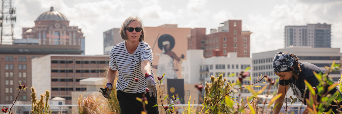 a woman working in a community garden